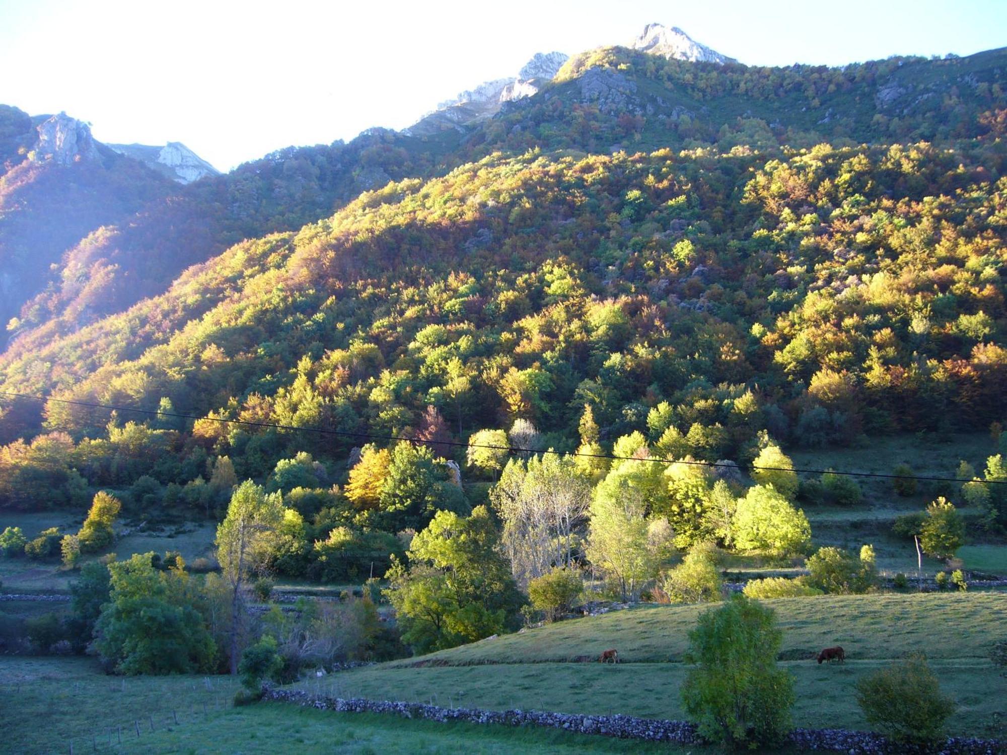 La Corona Del Auteiro Valle de Lago Экстерьер фото